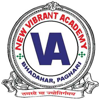 NEW VIBRANT ACADEMY